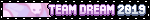 TEAM DREAM 2019
